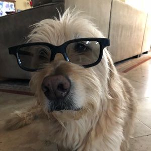 Meet your Posher, Cole